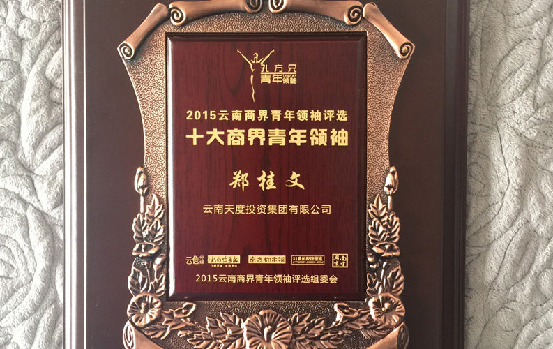 在“互聯(lián)網(wǎng)大時(shí)代”的背景下，天度作為本土很大和很有名的互聯(lián)網(wǎng)服務(wù)企業(yè)，為近萬(wàn)家傳統企業(yè)轉型互聯(lián)網(wǎng)+提供了服務(wù)和幫助，獲此獎項后，我們將再接再厲，創(chuàng  )造更高的社會(huì )價(jià)值